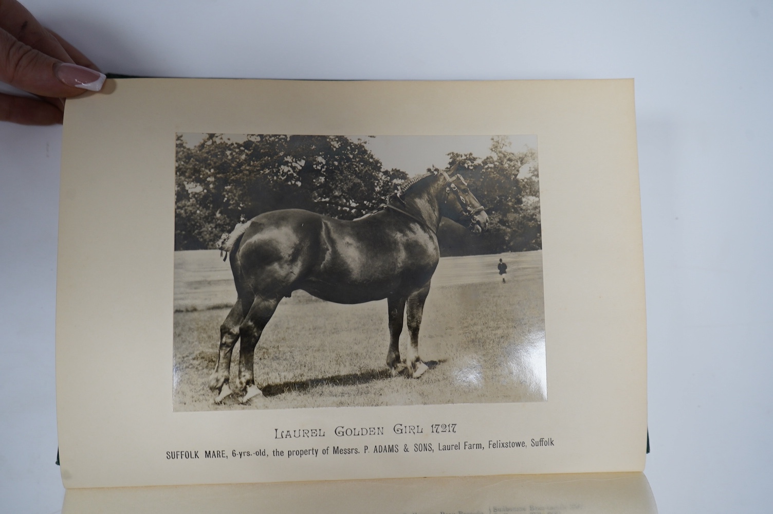 The Suffolk Stud-Book: a register of the county breed of cart horses. vol. XLIII. 2 mounted photo. plates and 2 folded tables; original cloth, roy.8vo. Diss, 1940; Lloyd, Walford - The Southdown Sheep ... illus.; gilt pi